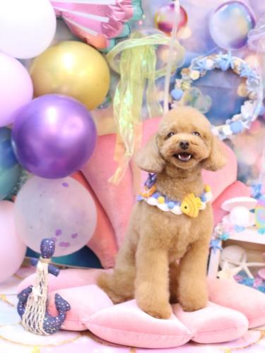 20240824ララちゃん